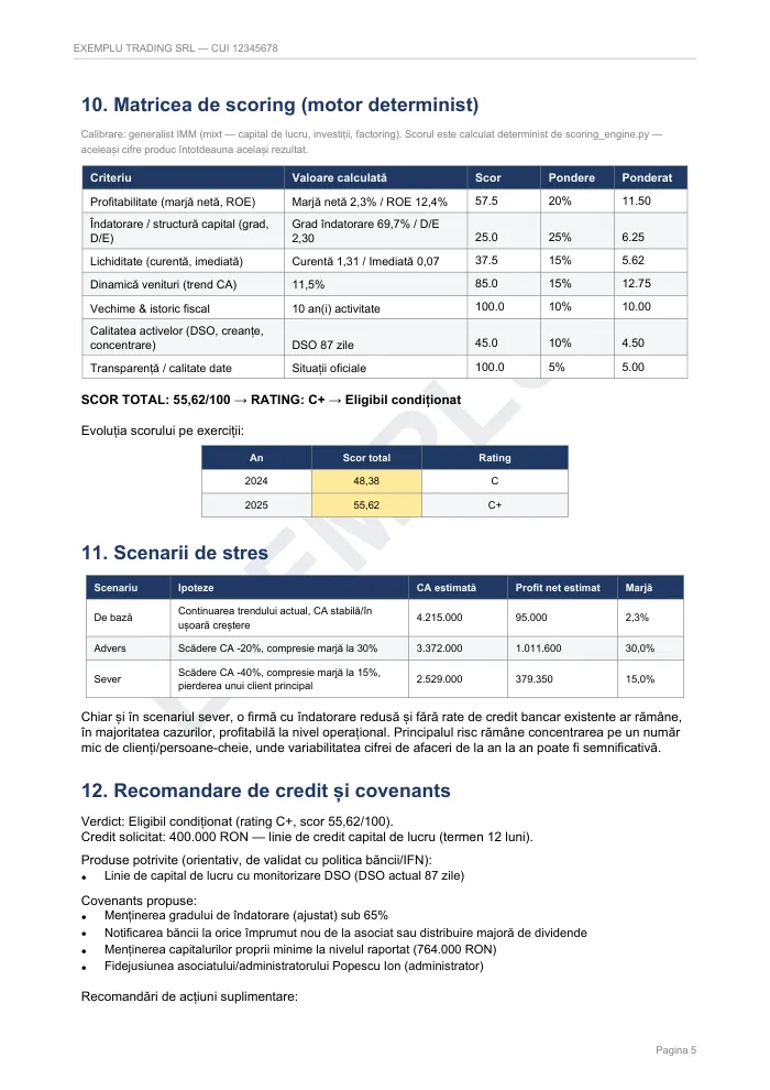 Pagina cu matricea de indicatori din raportul demo